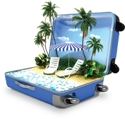 Vacation Luggage